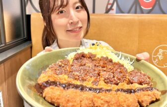 矢場とん味噌カツ