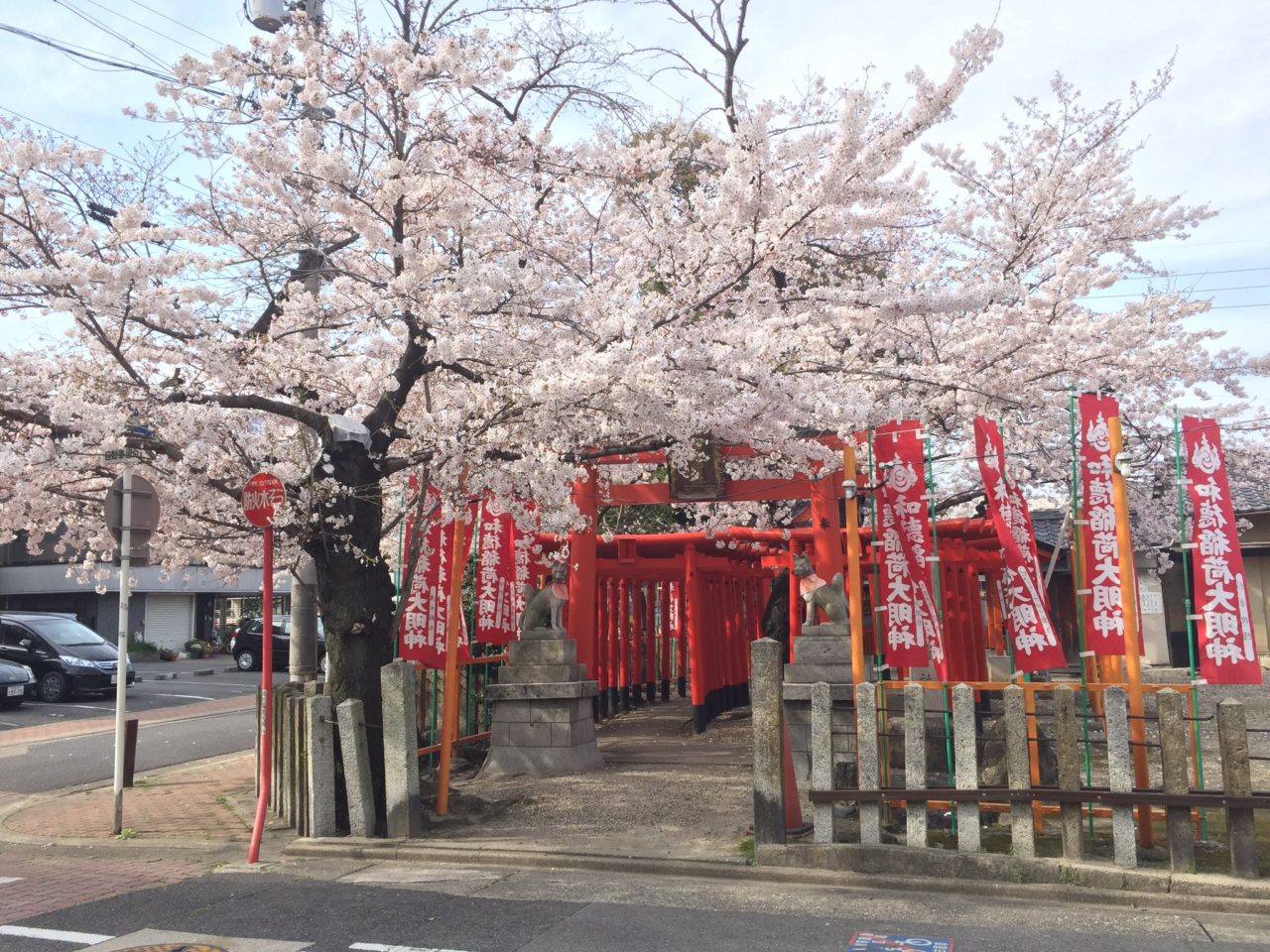 宗像神社の桜